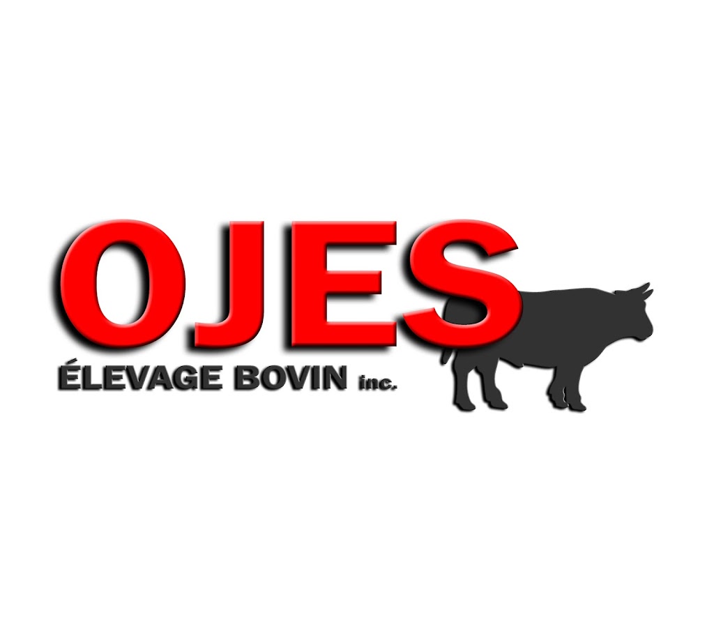 OJES - Élevage bovin inc. | 917 Chem. Terrebonne, Saint-Jean-Chrysostome, QC G6Z 2K9, Canada | Phone: (418) 559-7440