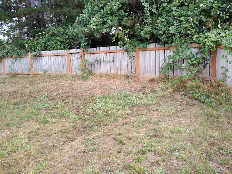 Ridgemont Park | 810 38th St, Bellingham, WA 98229, USA | Phone: (360) 778-7000
