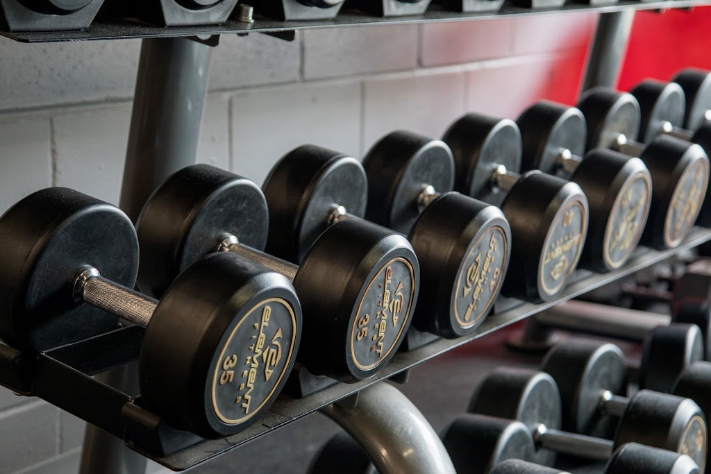 Dynamic Health & Performance | 1155 North Service Rd W #17, Oakville, ON L6M 3E3, Canada | Phone: (905) 339-2333