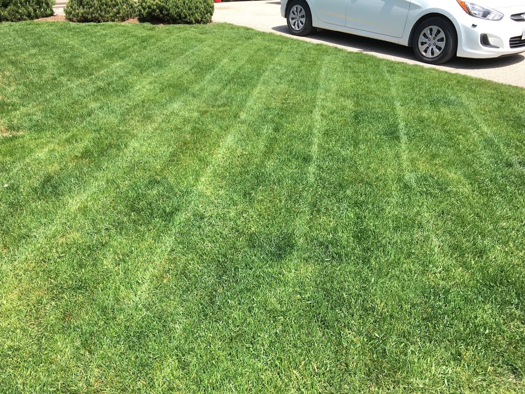JMD Lawn Care | 16 Joanne Crescent, Elora, ON N0B 1S0, Canada | Phone: (437) 241-2127
