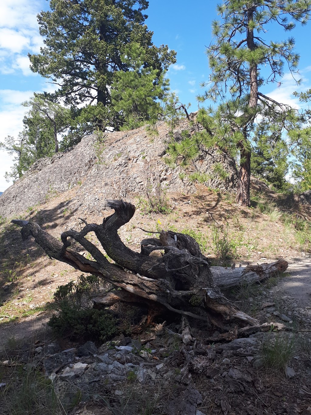 Pincushion Mountain Hiking Trail | 4639 Ponderosa Dr, Peachland, BC V0H 1X5, Canada | Phone: (250) 767-2647