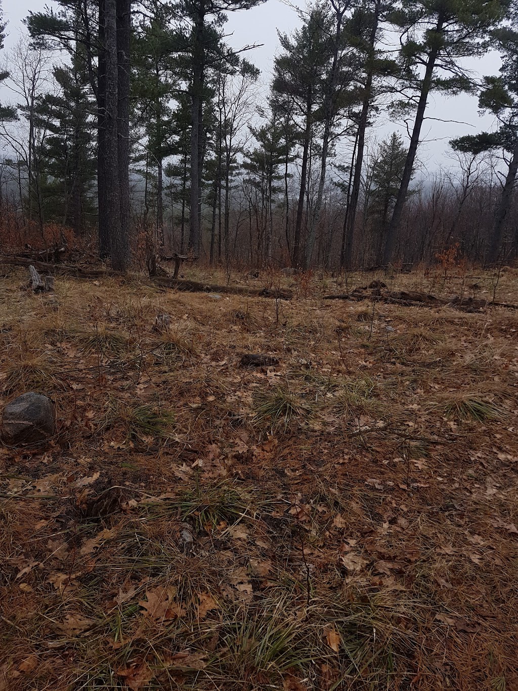 Canonto Lodge | 1029 Rosie Lane,, Calabogie, ON K0J 1H0, Canada | Phone: (613) 601-3413
