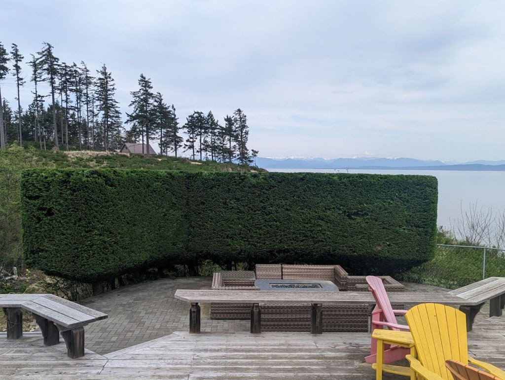 The Orange Tree Service | 1474 Hurford Ave, Courtenay, BC V9N 6X3, Canada | Phone: (250) 207-6764