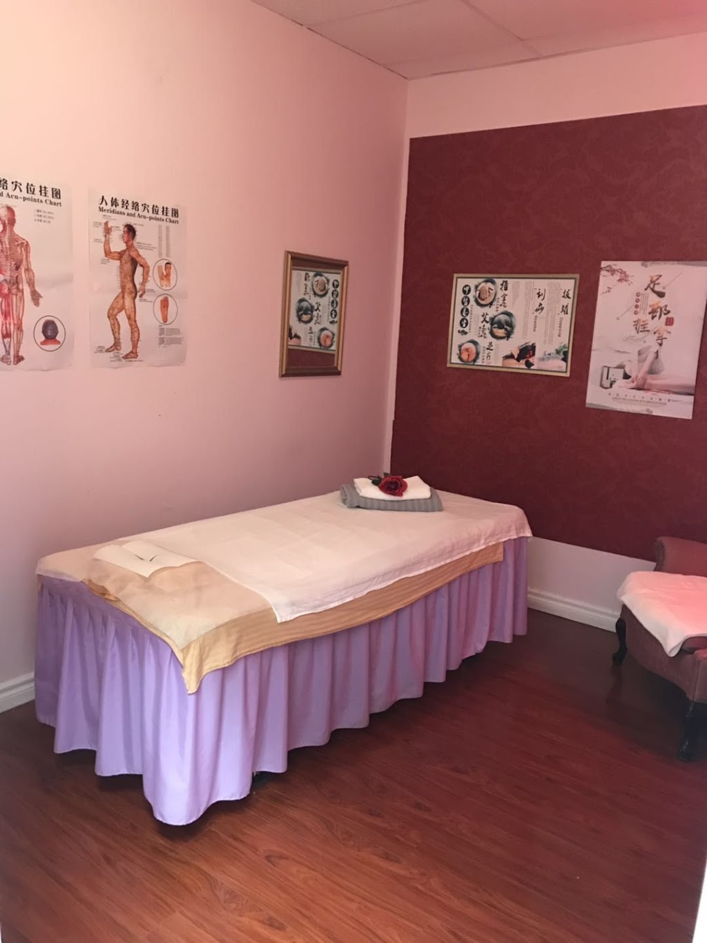 Tuina Center | 259 Hamilton Regional Rd 8, Stoney Creek, ON L8G 1E4, Canada | Phone: (905) 662-1788
