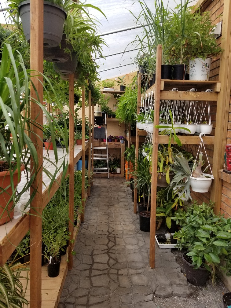 Unique Exotics | Pirates Glen Dr, Trent Lakes, ON K0M 1A0, Canada | Phone: (289) 688-2617
