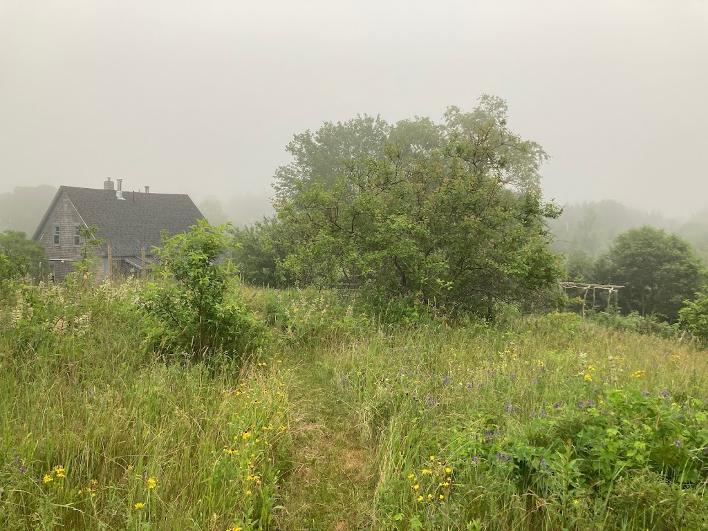Elizabeth Halley Landscape Design | 189 Lower Grant Rd, Lower Grant Road, NS B0J 1K0, Canada | Phone: (902) 229-3475