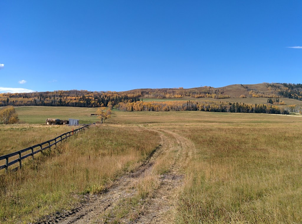 Square Butte Community Hall | AB-762, Millarville, AB T0L 1K0, Canada | Phone: (403) 931-3457