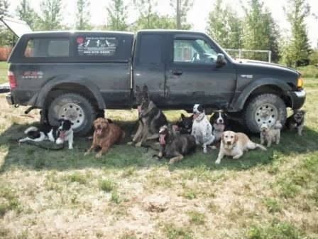 Four On The Floor | 25 East Lake Cir NE, Airdrie, AB T4A 2J9, Canada | Phone: (403) 945-8834