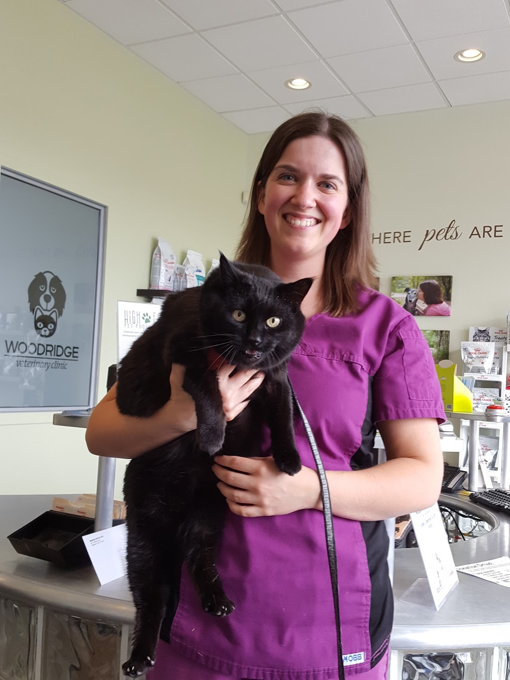Woodridge Veterinary Clinic | 411-D Herold Ct, Saskatoon, SK S7V 0A7, Canada | Phone: (306) 244-1010