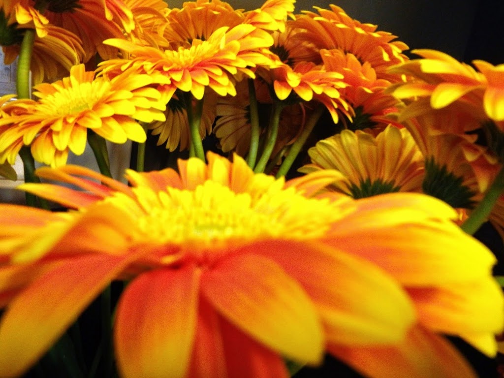 Armstrong Flower & Gift Shoppe | 3105 Smith Dr, Armstrong, BC V0E 1B0, Canada | Phone: (250) 546-8771