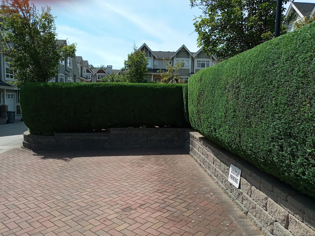 Moda Landscaping | 2833 East Kent Ave N #1204, Vancouver, BC V5S 3T9, Canada | Phone: (778) 872-1118