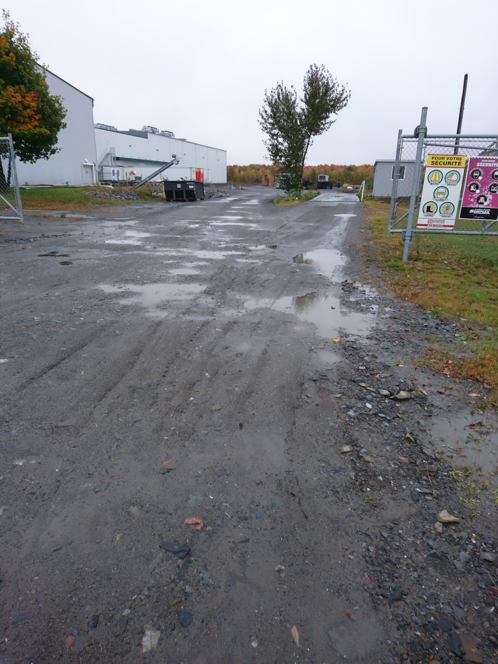 Canneberges Becancourt Sales | 2700 Av Vallée, Plessisville, QC G6L 3N2, Canada | Phone: (819) 621-1331