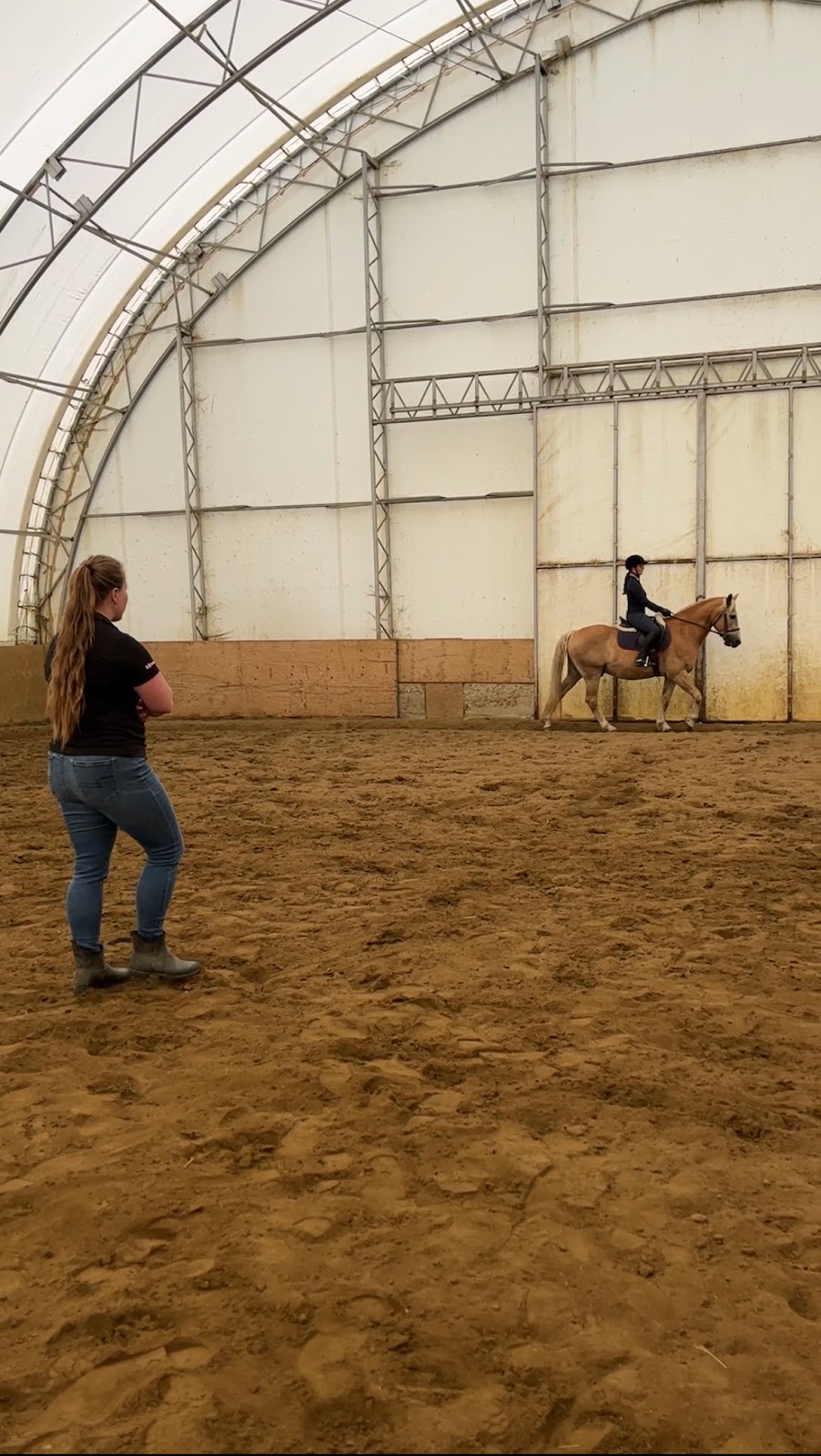Écurie Andréane Stables | Chem. Dustin, Stanstead-Est, QC J0B 1C0, Canada | Phone: (819) 349-6912