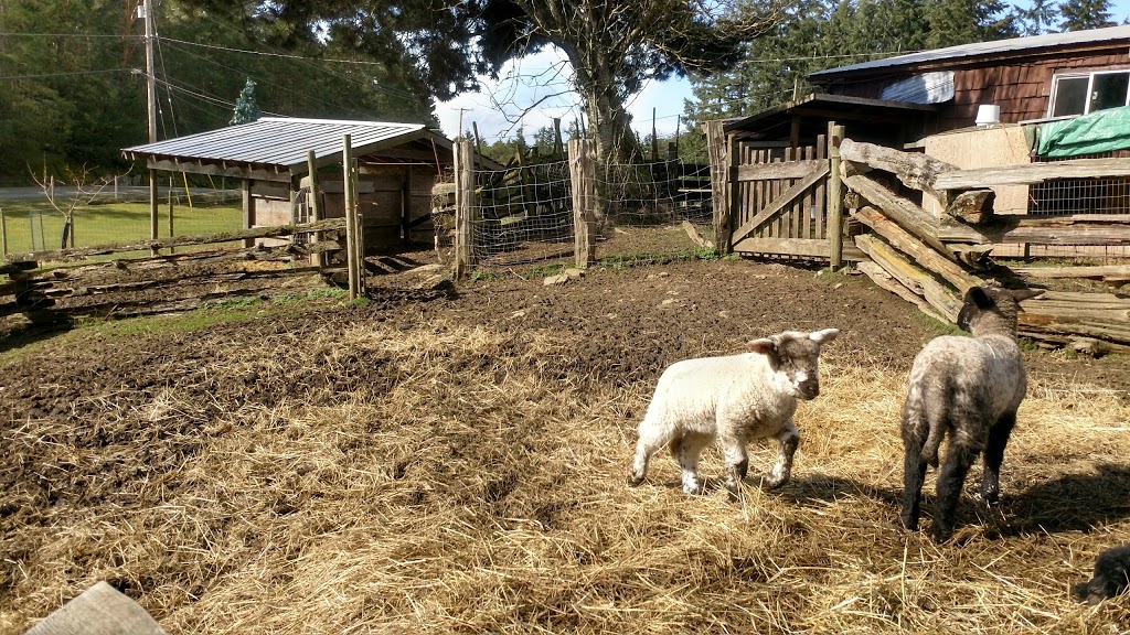 sunset farm | 1325 Sunset Dr, Salt Spring Island, BC V8K 1E2, Canada | Phone: (250) 537-2082