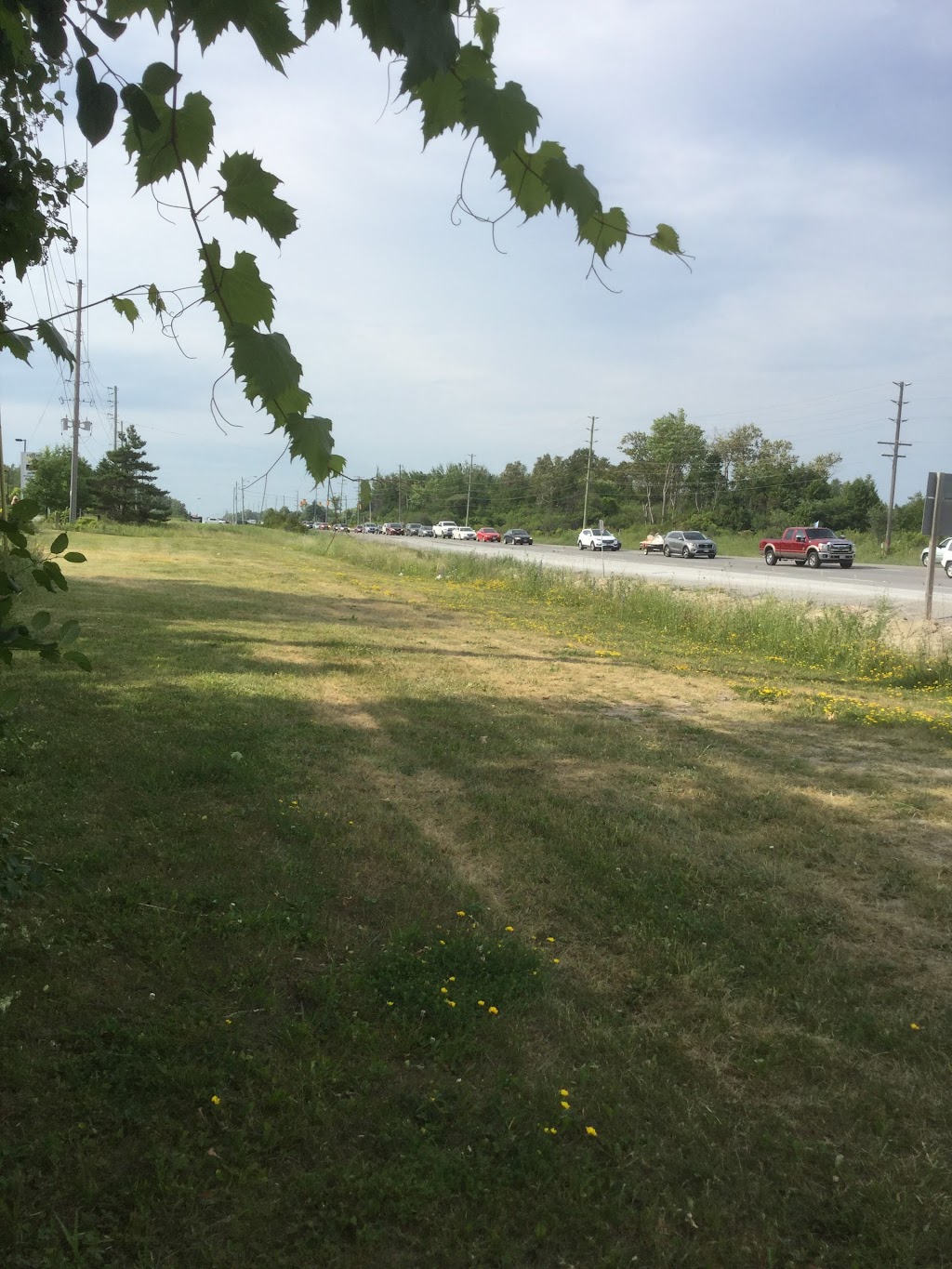 Brock Citizen | 2 Cameron St E, Cannington, ON L0E 1E0, Canada | Phone: (705) 324-8600