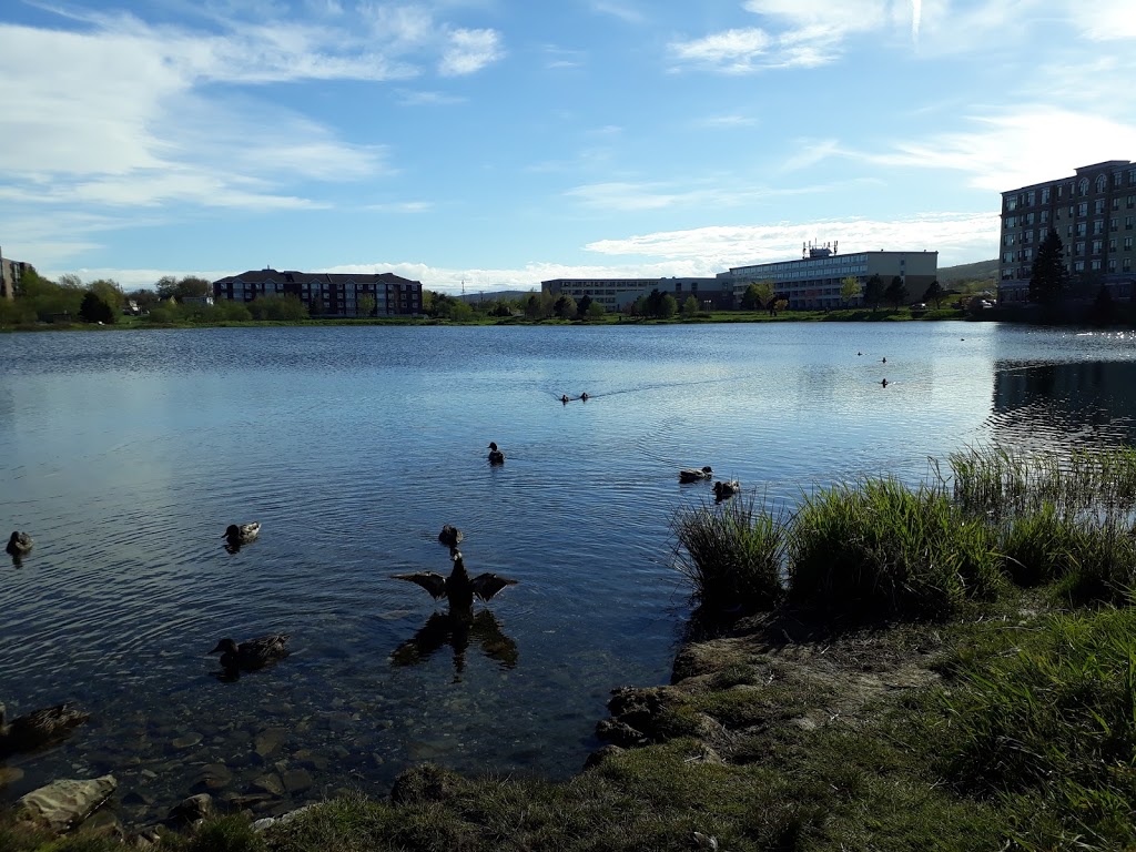 Kennys Pond Park | Kennys Pond Walk, St. Johns, NL A1A 0E4, Canada