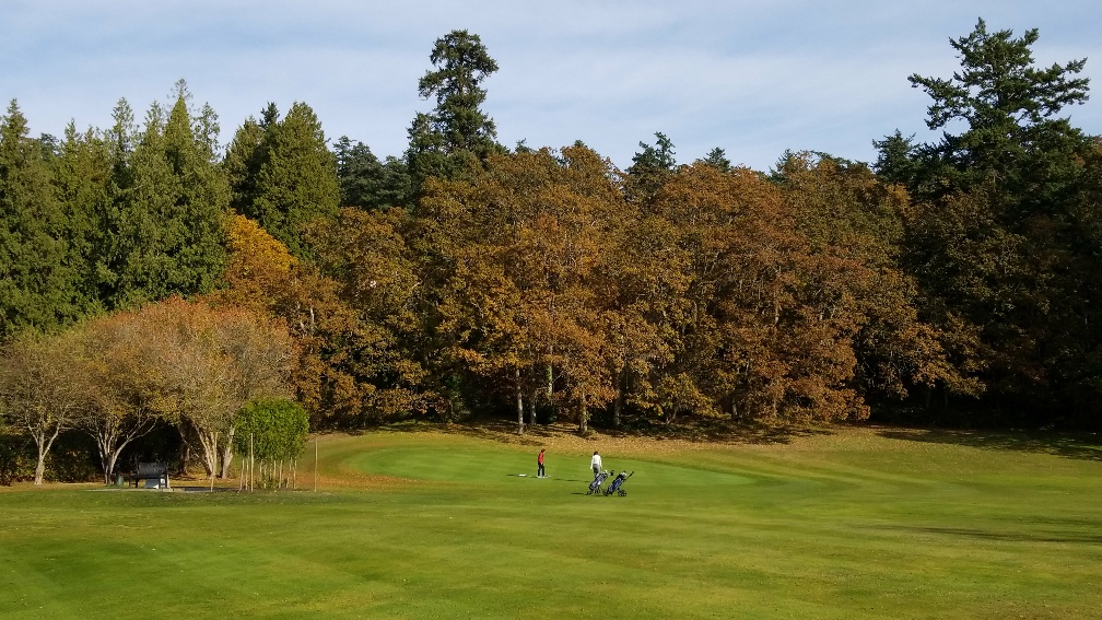 Saanich Commonwealth Place | 4636 Elk Lake Dr, Victoria, BC V8Z 5M1, Canada | Phone: (250) 475-7600