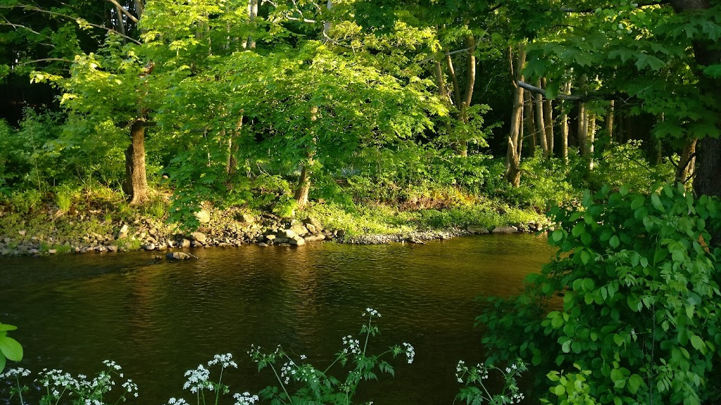 Whidden Park Campground & Cottages | 4 Park Ln, Antigonish, NS B2G 1N5, Canada | Phone: (877) 263-3736