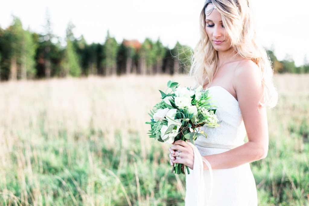 Leslie Estelle Photography | 72 Claudia Crescent, Middle Sackville, NS B4E 0C6, Canada | Phone: (902) 478-8098