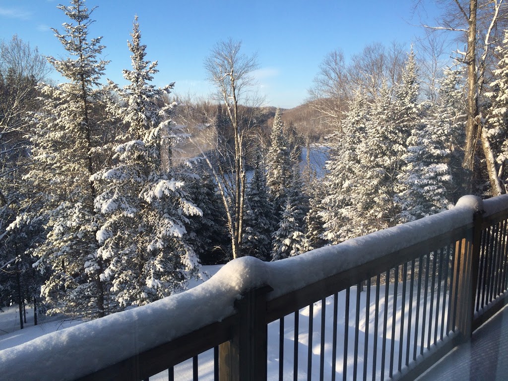 LOurs Laurentien | 129 Chemin du Grand Duc, Saint-Faustin-Lac-Carré, QC J0T 1J2, Canada | Phone: (514) 799-1780