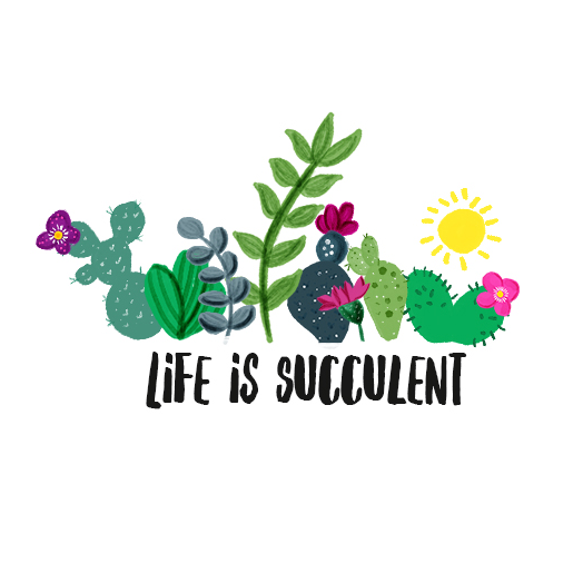 Life is Succulent | 1249 Eggert Rd, Amherst, NY 14226, USA