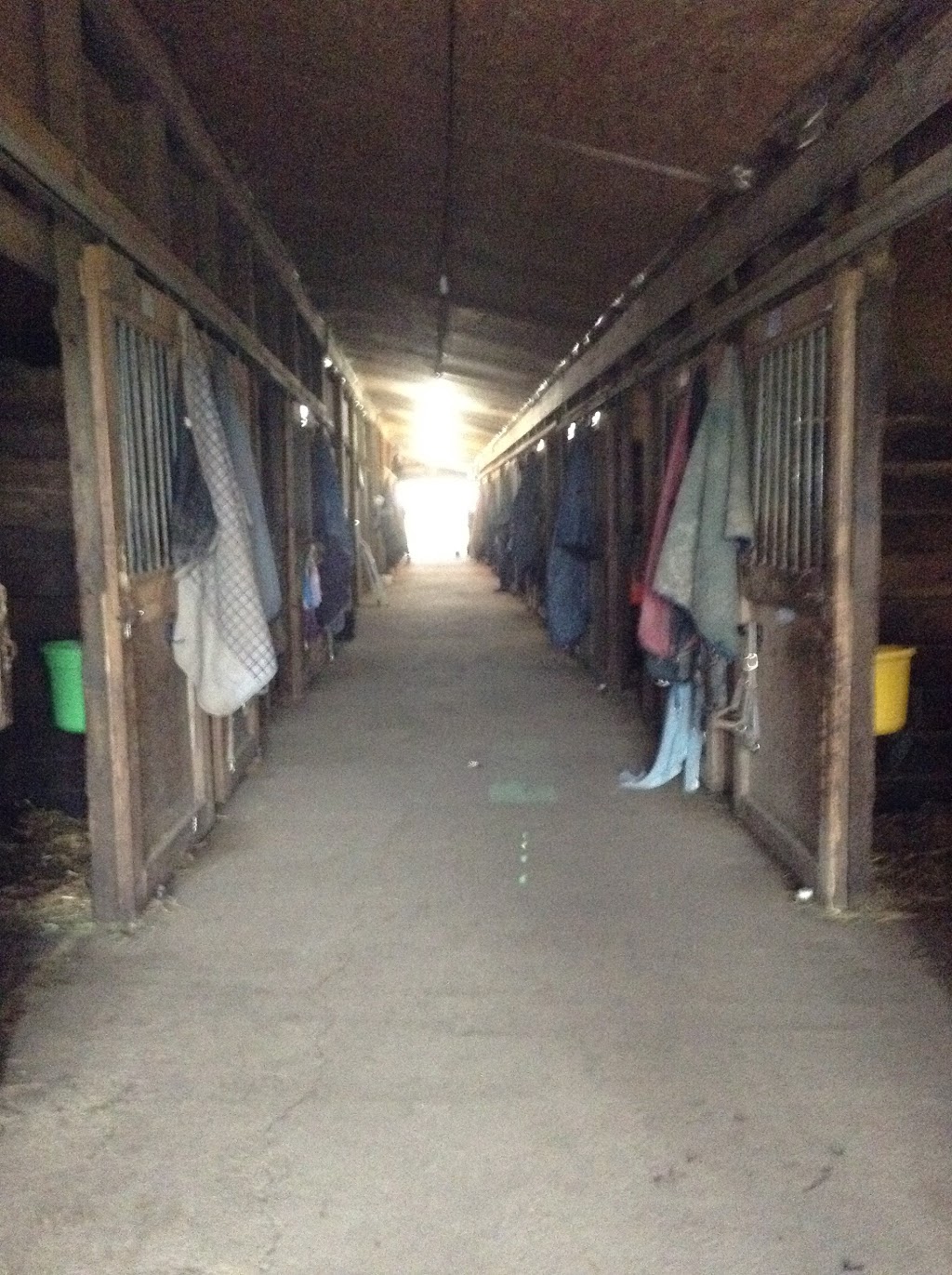 Willowcrest Farm | 6638 Wellington 10, Moorefield, ON N0G 2K0, Canada | Phone: (519) 503-1799