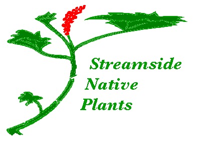 Streamside Native Plants | 7455 Island Hwy W, Bowser, BC V0R 1G0, Canada | Phone: (250) 757-9999