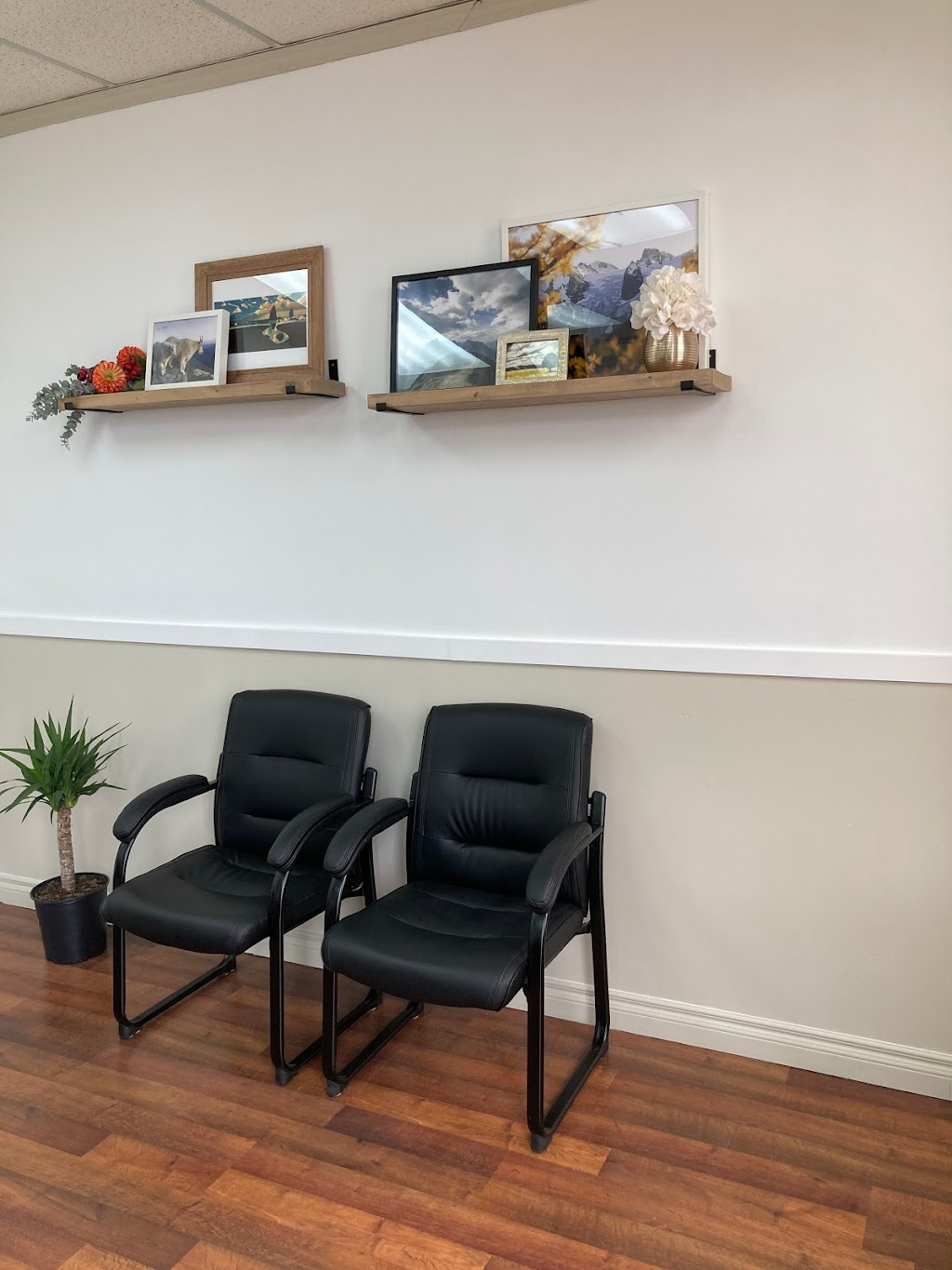 King Chiropractic | 4816 51 Ave, Innisfail, AB T4G 1M2, Canada | Phone: (403) 318-2666