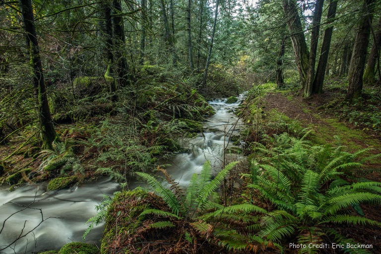 Mary Lake Nature Sanctuary | 1772 Millstream Rd, Victoria, BC V9B 6E4, Canada | Phone: (250) 478-5858
