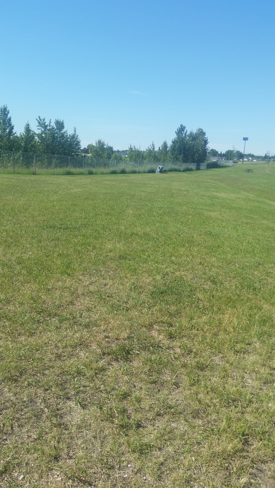 Devon Dog Park 10001002 Gilmour Way, Devon, AB T9G 2A5, Canada