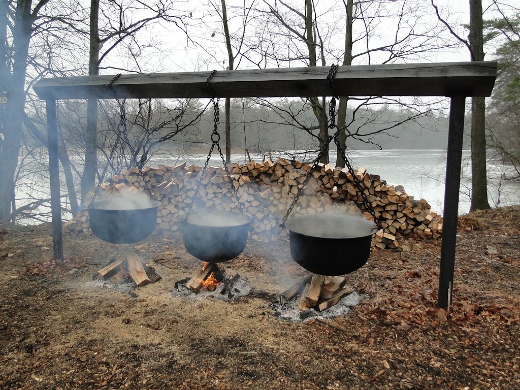 Springwater Conservation Area | 8079 Springwater Rd, Aylmer, ON N5H 2R4, Canada | Phone: (519) 773-9037