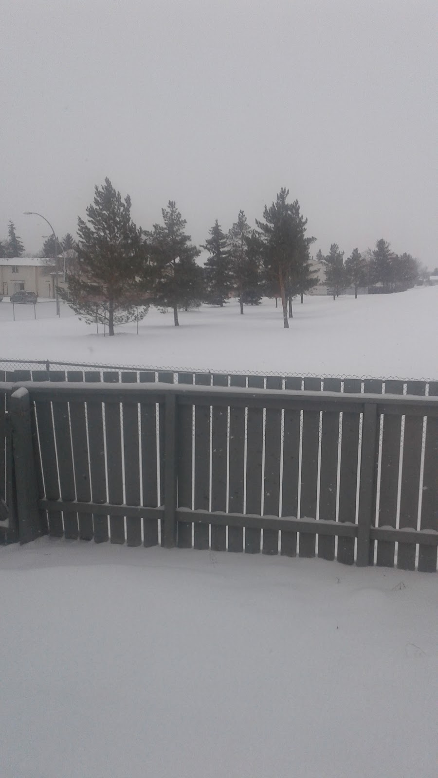 PetHouseHotel.com | 110 Dickensfiled Crt NW, Edmonton, AB T5E 5V8, Canada | Phone: (780) 758-8068
