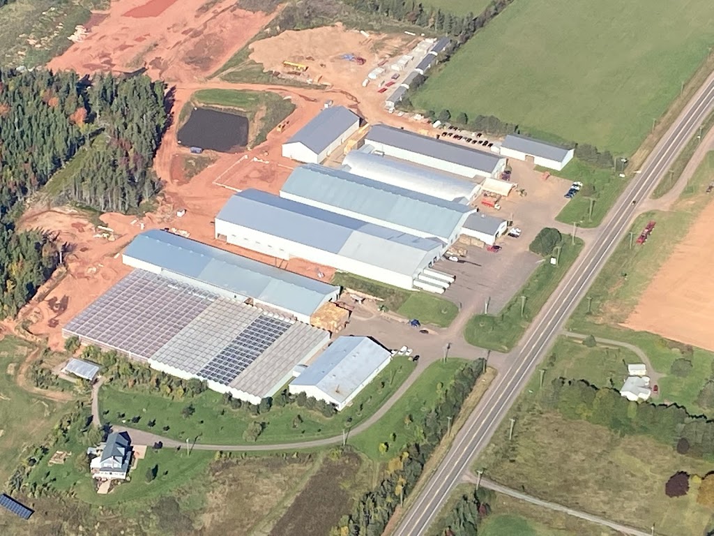 Vanco Farms Ltd | 9311 Trans-Canada Hwy, Mount Albion, PE C1B 0R4, Canada | Phone: (902) 651-2970