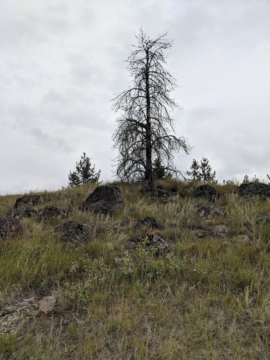 Big Bar Lake Provincial Park | Big Bar Rd, Clinton, BC V0K 1K0, Canada | Phone: (250) 320-9305