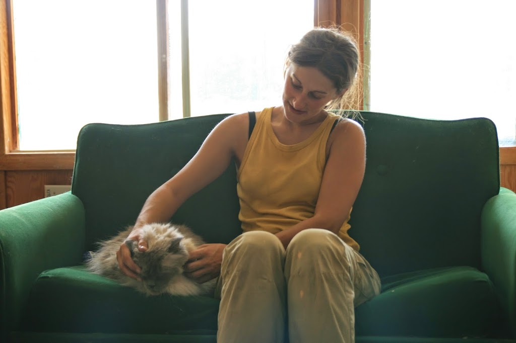 Happytails Pet Retreat | Cochrane, AB T4C 1A7, Canada | Phone: (403) 851-2050