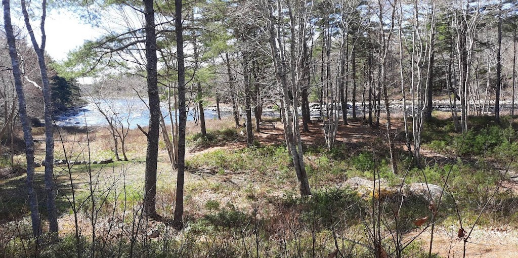 Roseway River Cottages | 47 Riverview Dr, Shelburne, NS B0T 1W0, Canada | Phone: (902) 875-3812