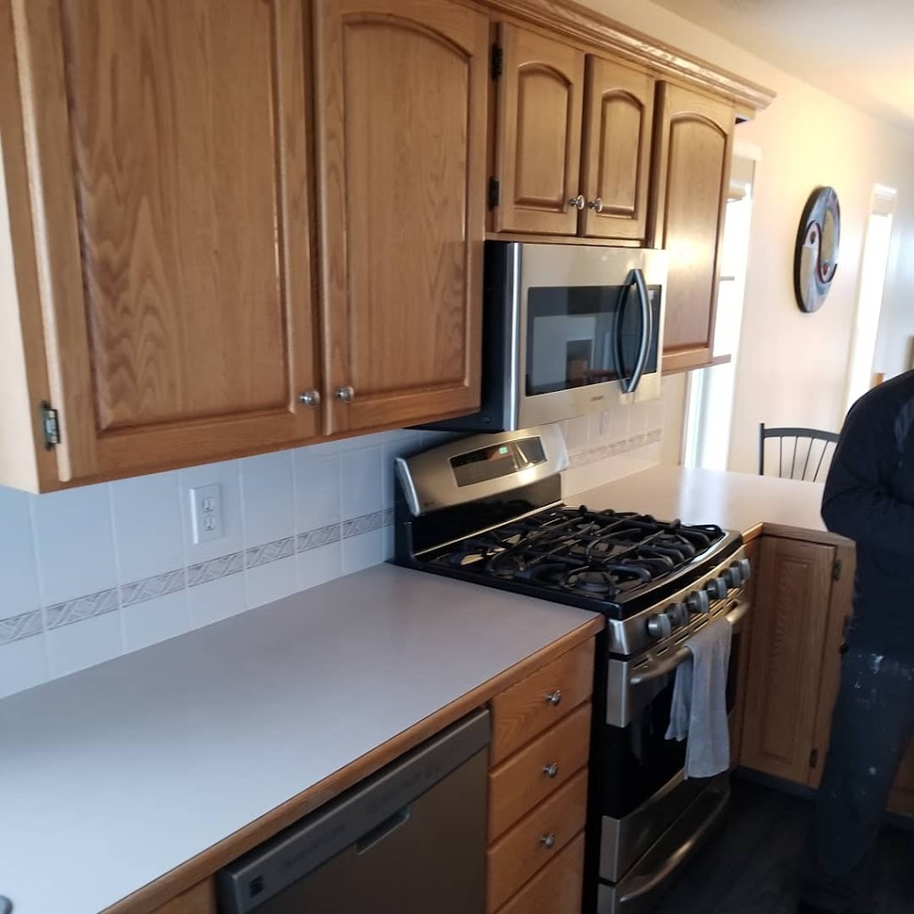 Painting Life | 83 Jepsen Crescent, Red Deer, AB T4P 0A9, Canada | Phone: (403) 877-0658