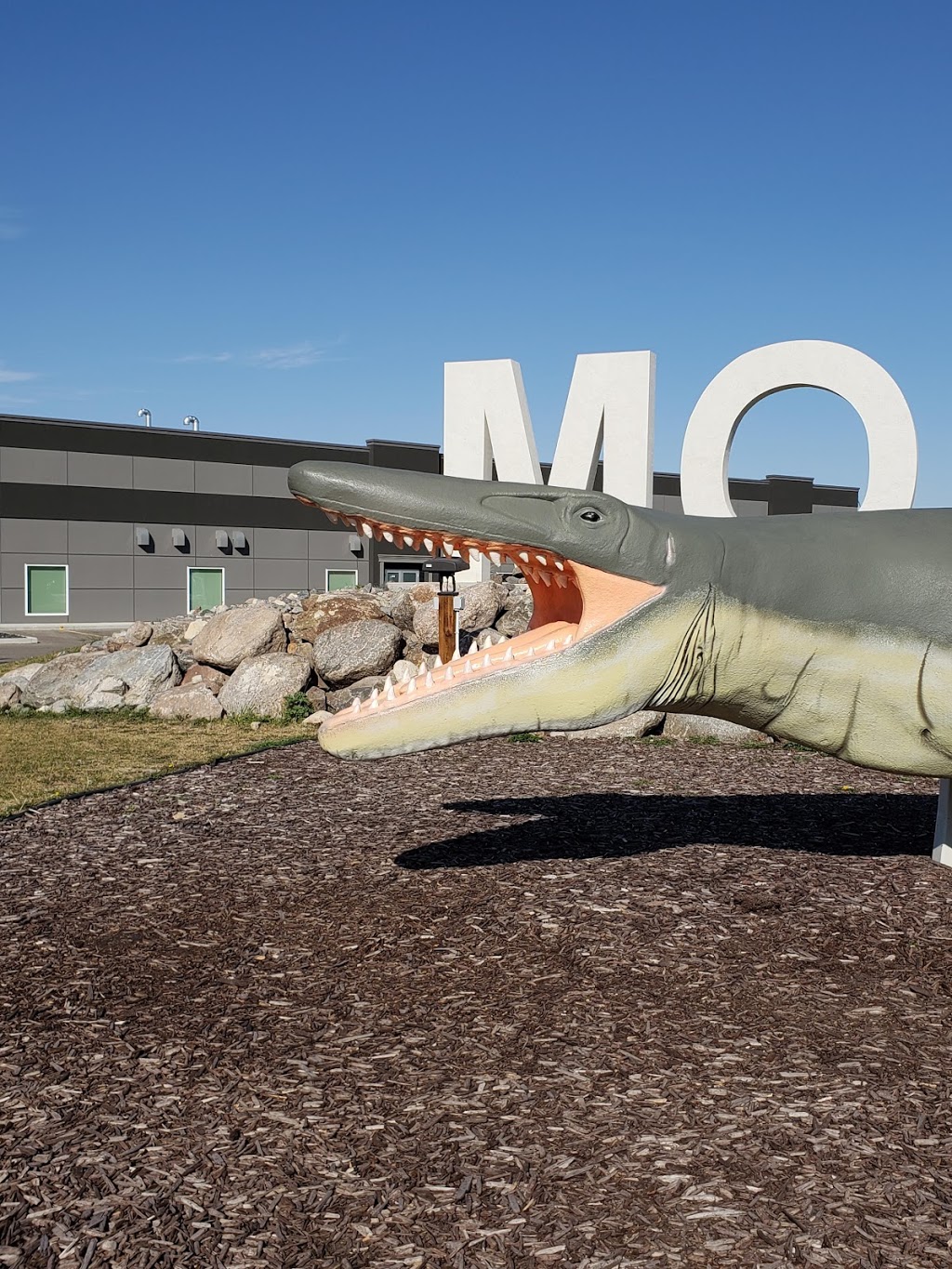 Bruce The Mosasaur | Morden, MB R6M 1P4, Canada | Phone: (204) 822-4434