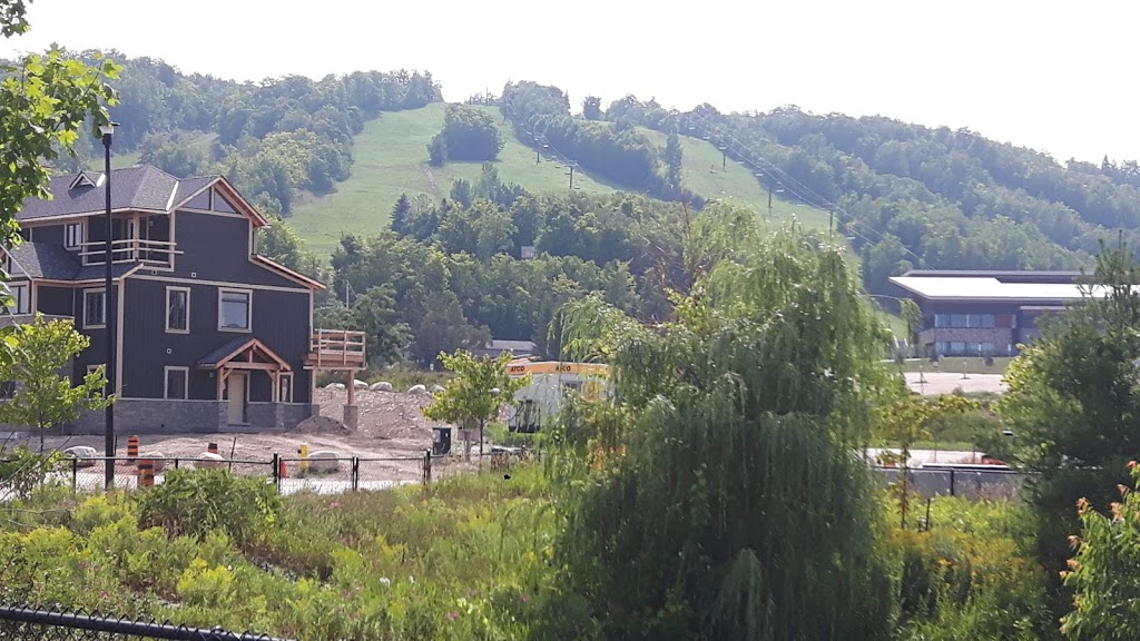 Alpine Visitor/Racing Parking | 242 Arrowhead Crescent, The Blue Mountains, ON L9Y 0R9, Canada | Phone: (705) 445-0339