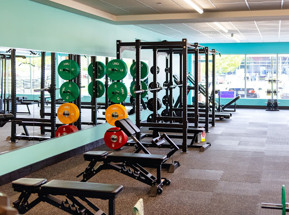 SuyinLifts Gym | 1344 Youville Dr, Orléans, ON K1C 7L1, Canada | Phone: (343) 204-5286