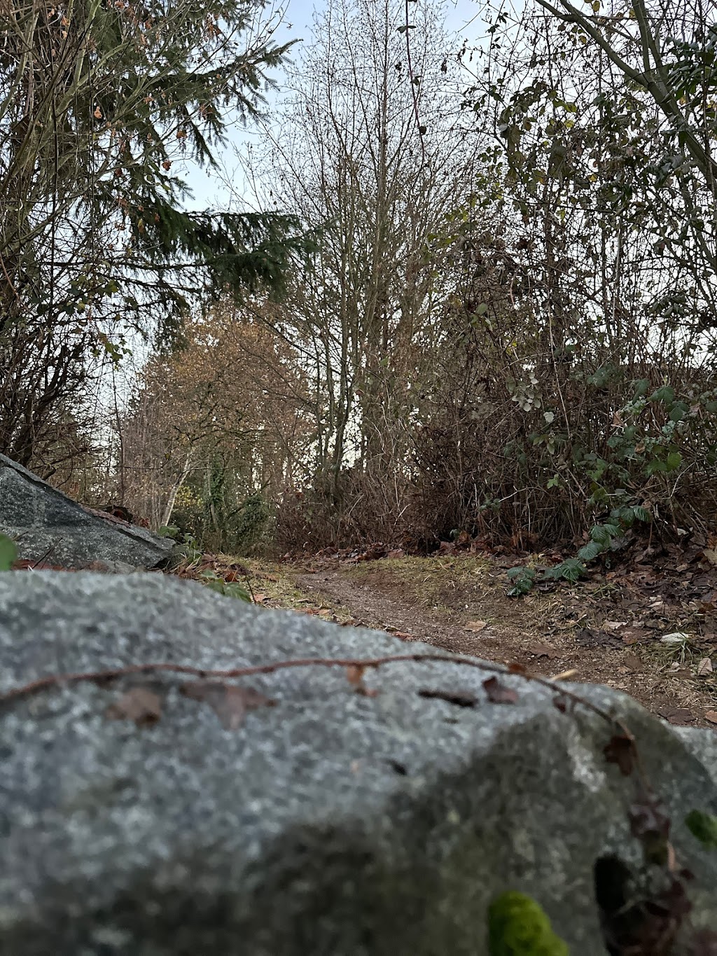 Cedar Hills Park | Surrey, BC V3V 6B1, Canada | Phone: (604) 501-5050