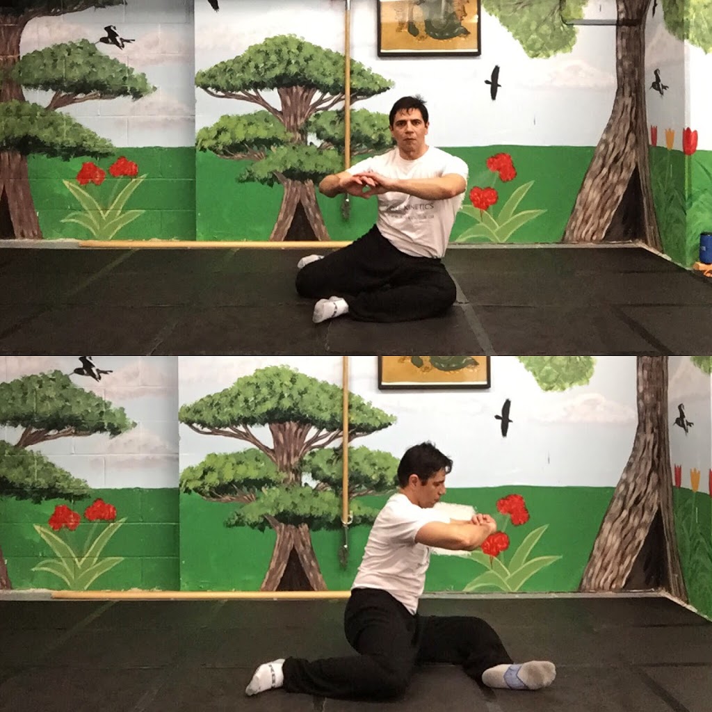 Sole Kinetics | 180 Sudbury St, Toronto, ON M6J 3S7, Canada | Phone: (647) 242-2068