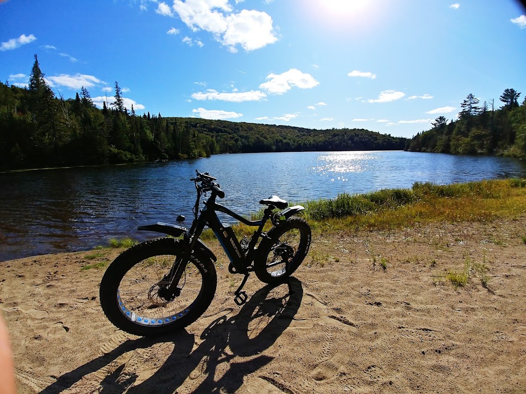 Camp Carowanis | 5000 Rue des Pins, Sainte-Agathe-des-Monts, QC J8C 2Z7, Canada | Phone: (866) 801-2401