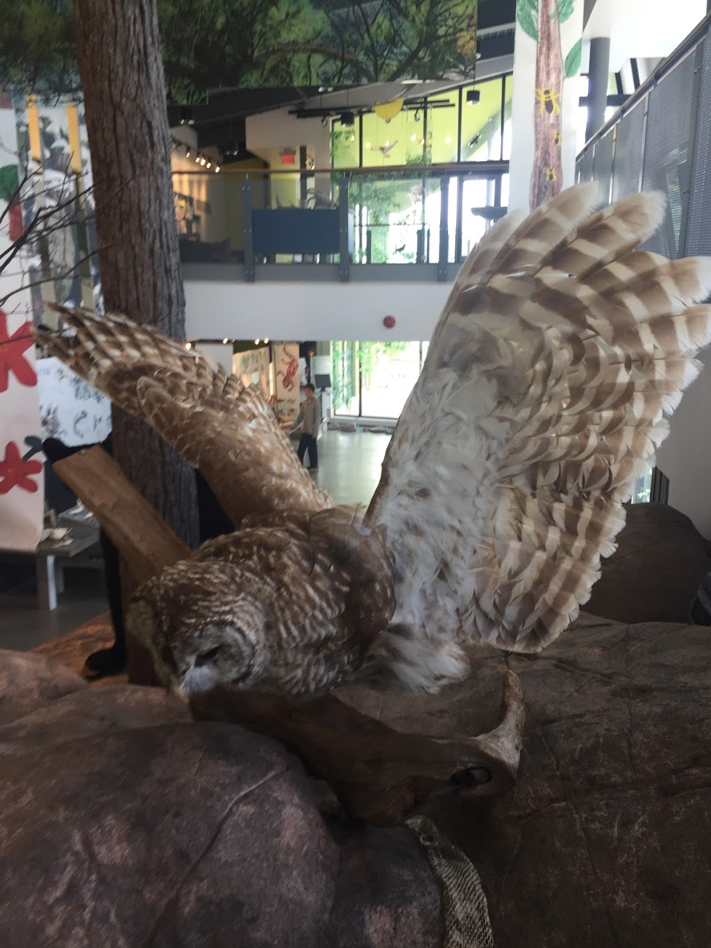 Killbear Provincial Park Visitors Centre | Unnamed Road, Killbear Park, ON P0G, Canada | Phone: (705) 342-5492