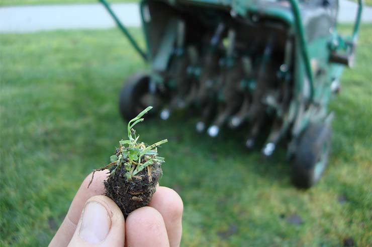 Absolute Lawn Care & Aeration | 7 Maxwell Ct, Bowmanville, ON L1C 4X6, Canada | Phone: (437) 580-6338