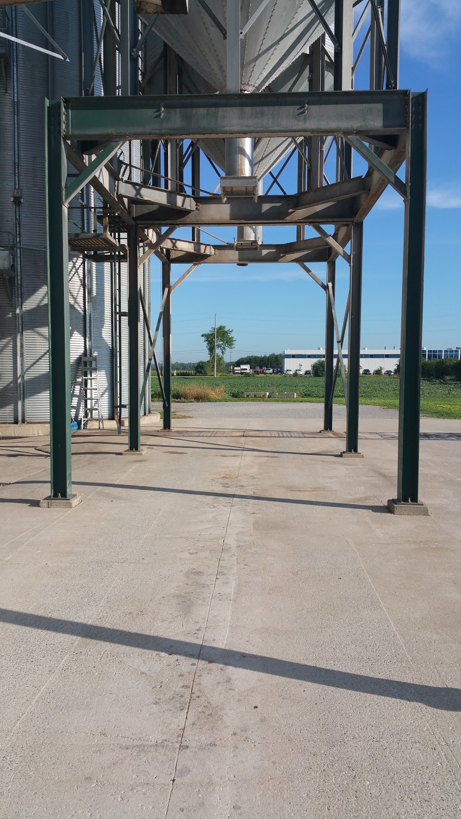 Reesor Elevators - Port Perry | 1256 Scugog Line 6, Port Perry, ON L9L 1B5, Canada | Phone: (905) 985-7007