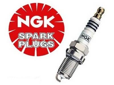 L Y Auto Parts | 720 Burnhamthorpe Rd W #5, Mississauga, ON L5C 3G1, Canada | Phone: (905) 804-0202