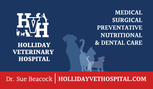 Holliday Veterinary Hospital | 77 Cedar St, Cambridge, ON N1S 1V6, Canada | Phone: (519) 621-0251