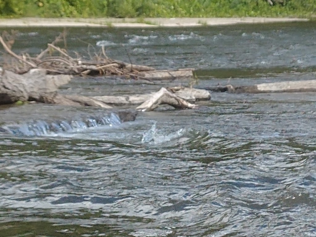 Les Berges de lÎle Vessot | 115 Avenue du Littoral, Saint-Paul, QC J0K 3E0, Canada | Phone: (450) 917-1725