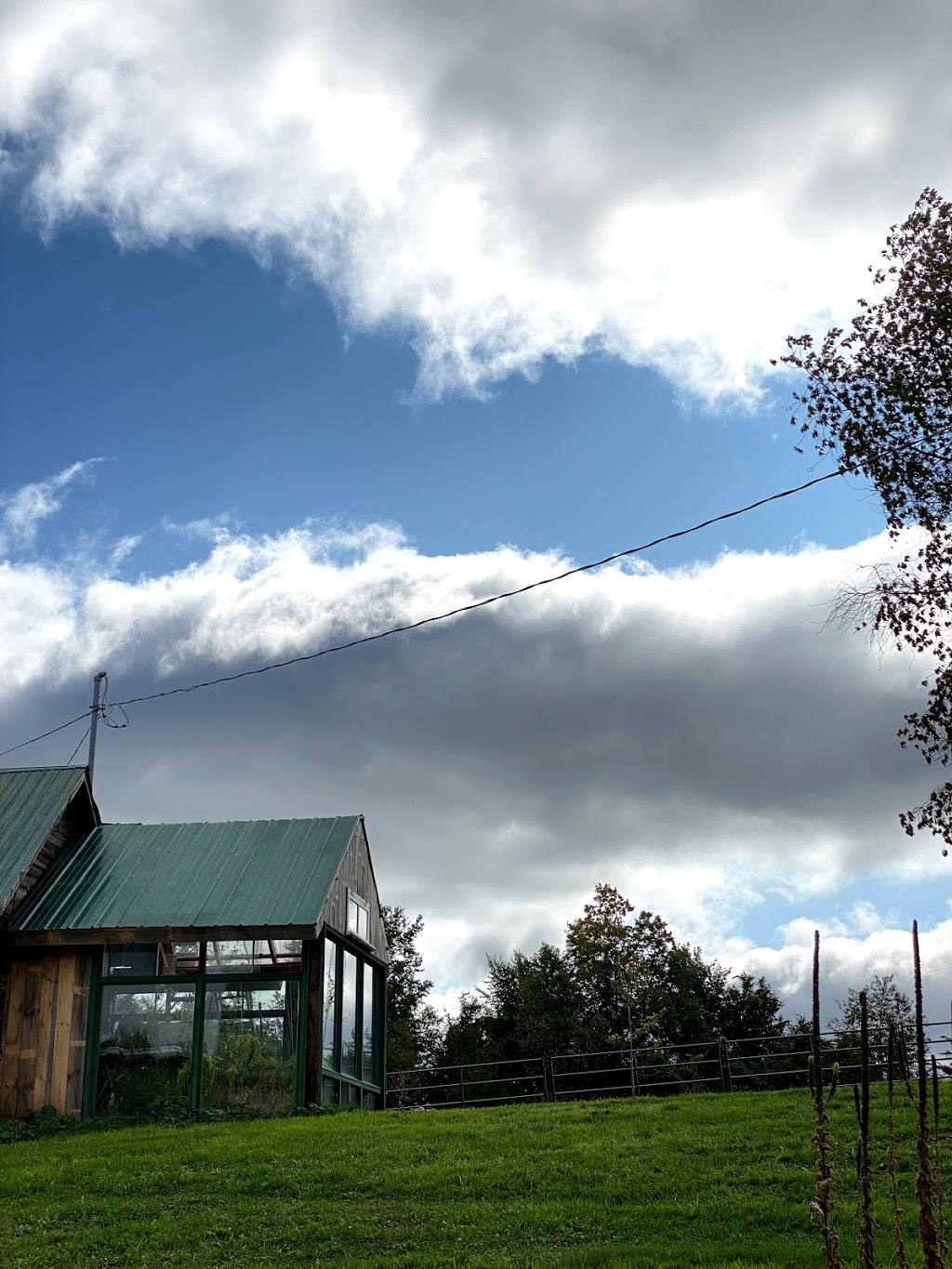 Delta Top Farm | 1647 County Rd 42, Delta, ON K0E 1G0, Canada | Phone: (343) 260-9926